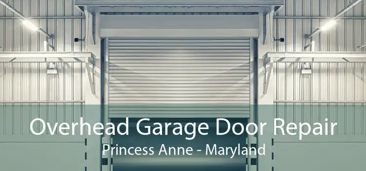 Overhead Garage Door Repair Princess Anne - Maryland