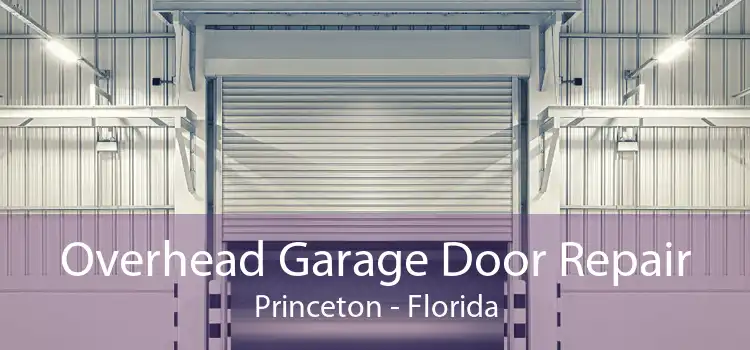 Overhead Garage Door Repair Princeton - Florida