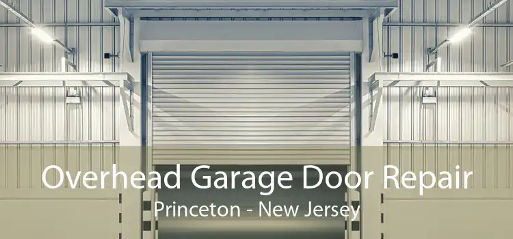 Overhead Garage Door Repair Princeton - New Jersey