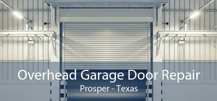 Overhead Garage Door Repair Prosper - Texas