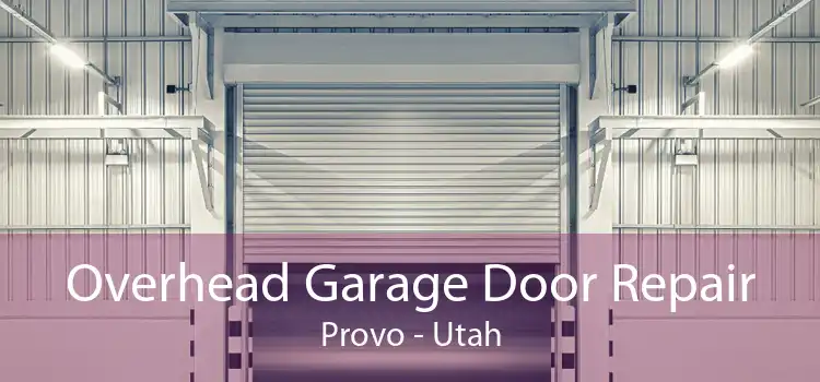 Overhead Garage Door Repair Provo - Utah