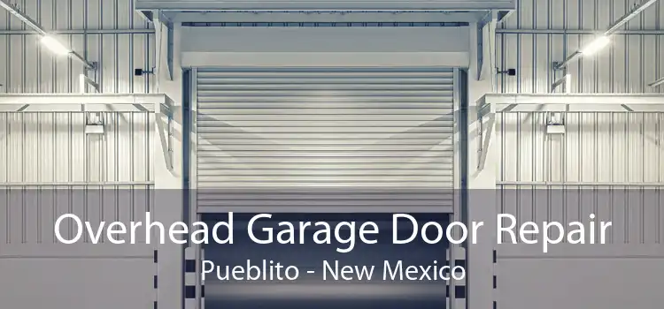 Overhead Garage Door Repair Pueblito - New Mexico
