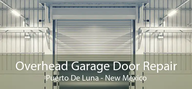 Overhead Garage Door Repair Puerto De Luna - New Mexico