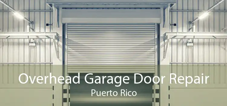 Overhead Garage Door Repair Puerto Rico