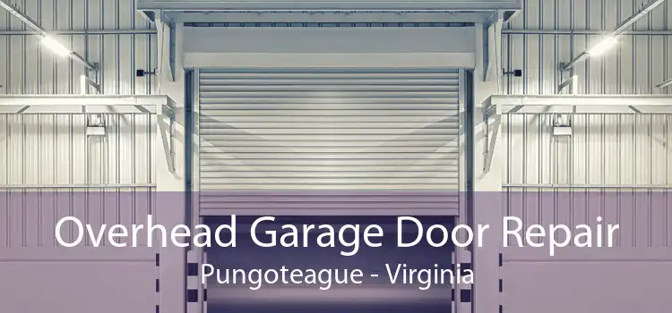 Overhead Garage Door Repair Pungoteague - Virginia