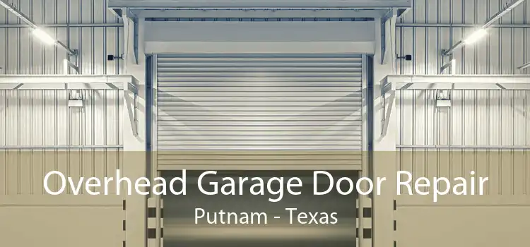 Overhead Garage Door Repair Putnam - Texas