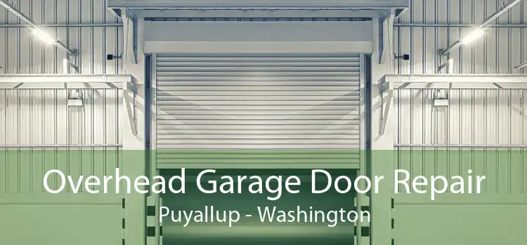 Overhead Garage Door Repair Puyallup - Washington