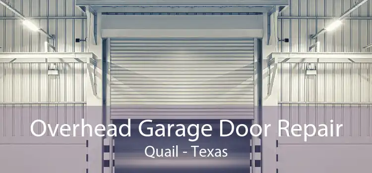 Overhead Garage Door Repair Quail - Texas