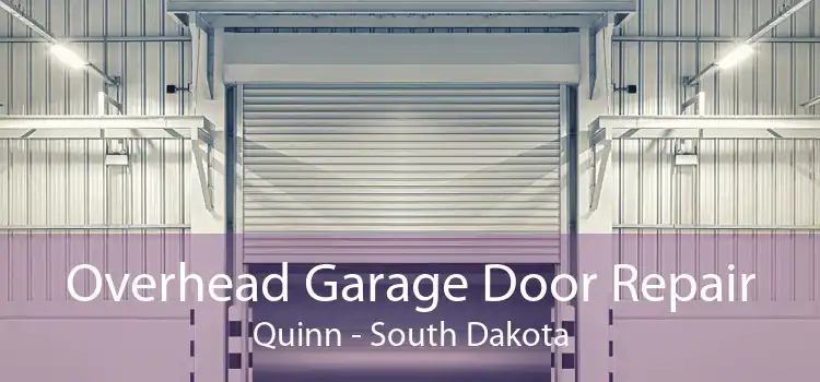 Overhead Garage Door Repair Quinn - South Dakota