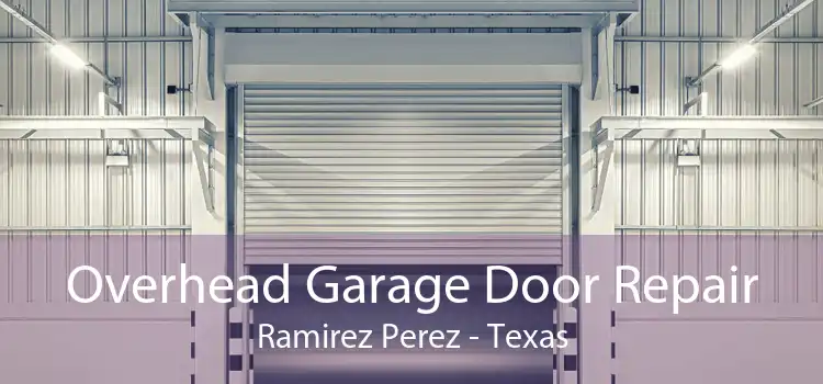 Overhead Garage Door Repair Ramirez Perez - Texas