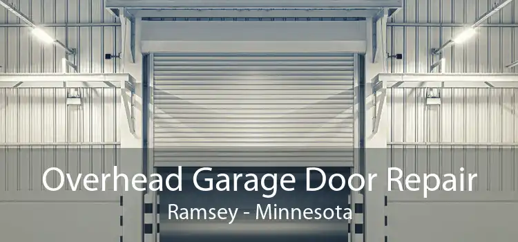 Overhead Garage Door Repair Ramsey - Minnesota