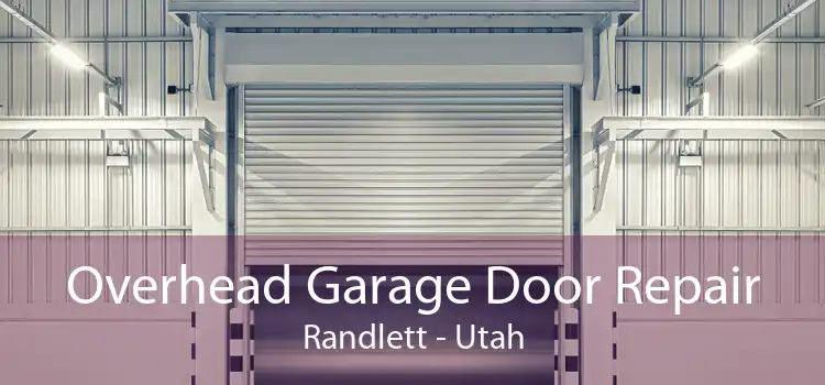 Overhead Garage Door Repair Randlett - Utah