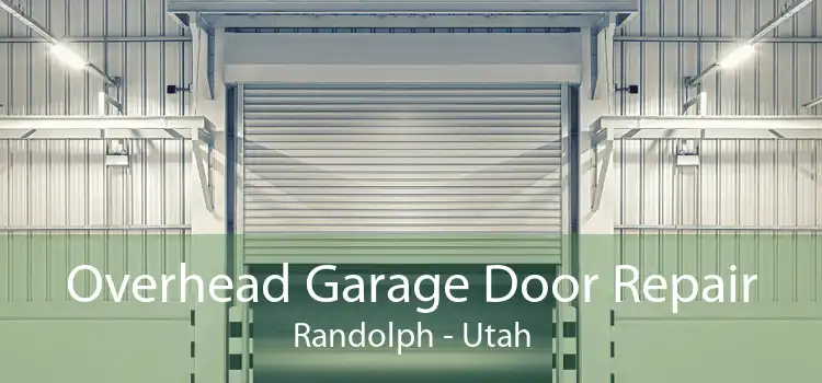 Overhead Garage Door Repair Randolph - Utah