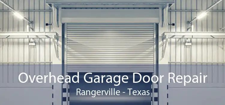 Overhead Garage Door Repair Rangerville - Texas