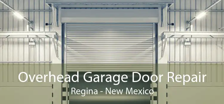 Overhead Garage Door Repair Regina - New Mexico