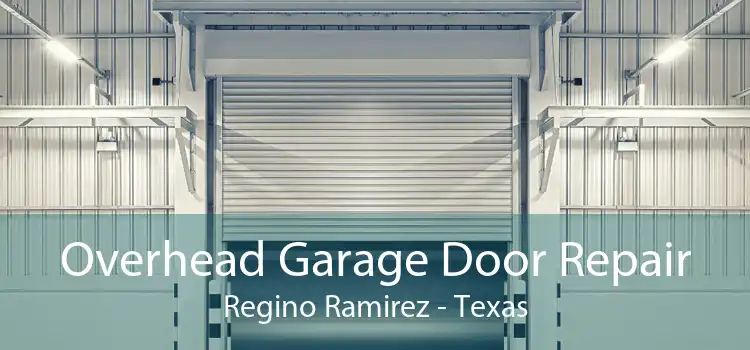 Overhead Garage Door Repair Regino Ramirez - Texas