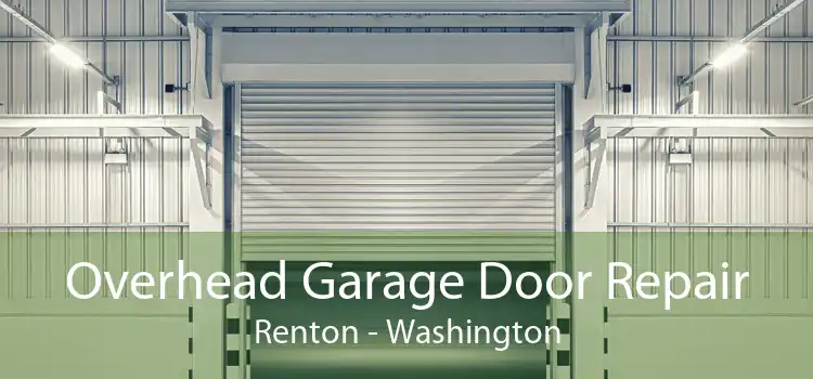 Overhead Garage Door Repair Renton - Washington