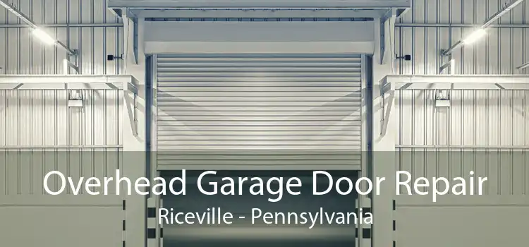Overhead Garage Door Repair Riceville - Pennsylvania
