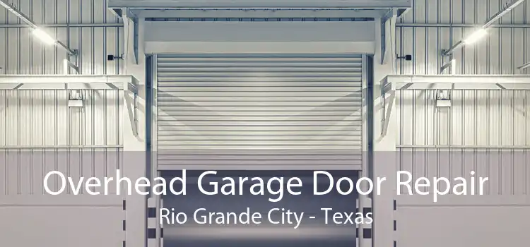 Overhead Garage Door Repair Rio Grande City - Texas