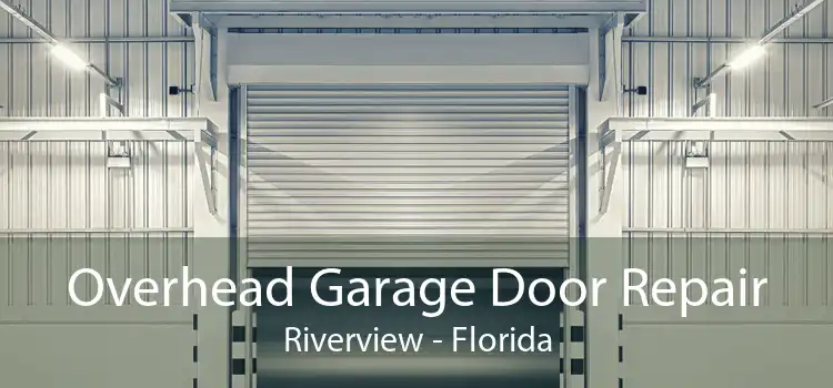 Overhead Garage Door Repair Riverview - Florida