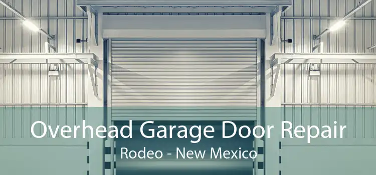 Overhead Garage Door Repair Rodeo - New Mexico