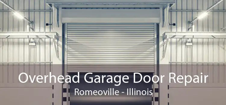 Overhead Garage Door Repair Romeoville - Illinois