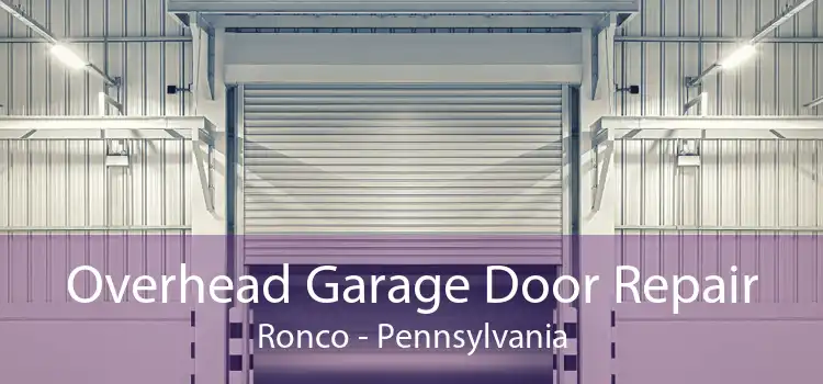 Overhead Garage Door Repair Ronco - Pennsylvania