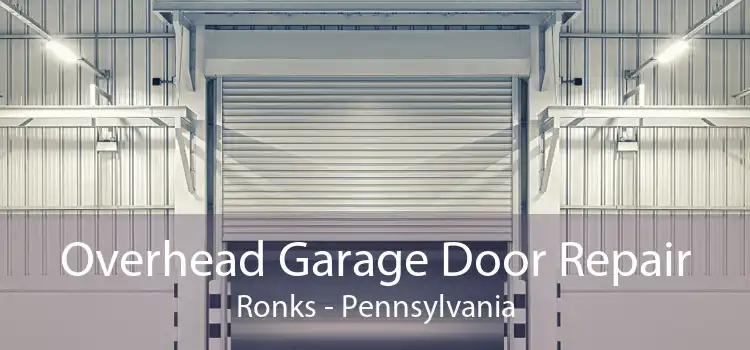 Overhead Garage Door Repair Ronks - Pennsylvania