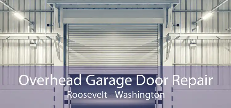 Overhead Garage Door Repair Roosevelt - Washington