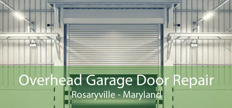 Overhead Garage Door Repair Rosaryville - Maryland