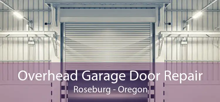 Overhead Garage Door Repair Roseburg - Oregon