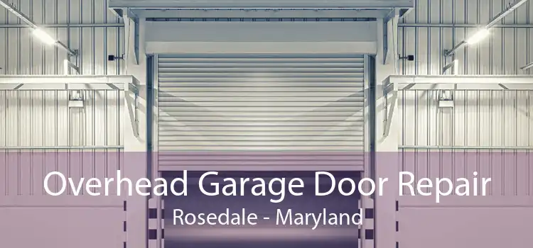 Overhead Garage Door Repair Rosedale - Maryland