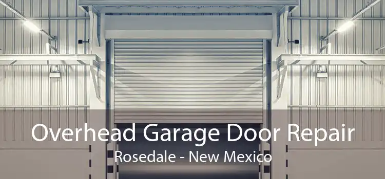 Overhead Garage Door Repair Rosedale - New Mexico
