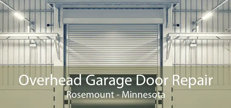 Overhead Garage Door Repair Rosemount - Minnesota