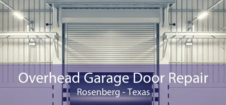 Overhead Garage Door Repair Rosenberg - Texas