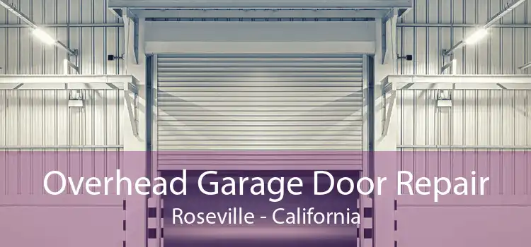 Overhead Garage Door Repair Roseville - California