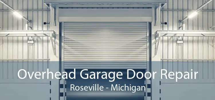 Overhead Garage Door Repair Roseville - Michigan