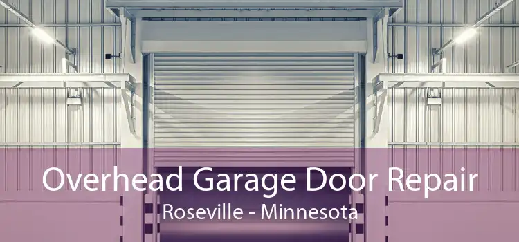 Overhead Garage Door Repair Roseville - Minnesota