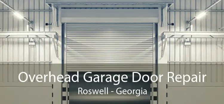Overhead Garage Door Repair Roswell - Georgia