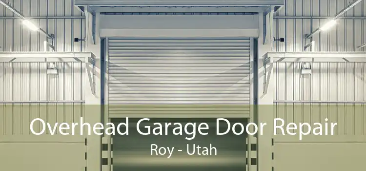 Overhead Garage Door Repair Roy - Utah