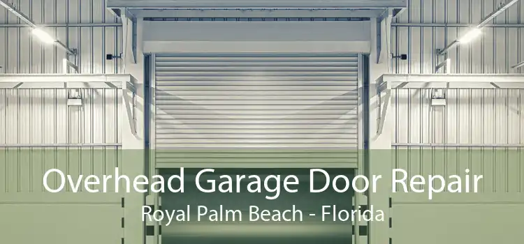 Overhead Garage Door Repair Royal Palm Beach - Florida