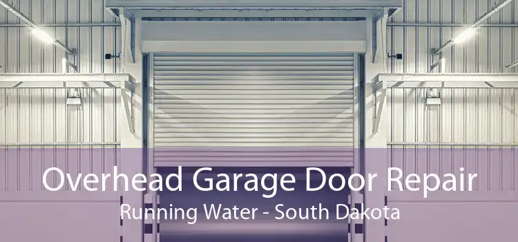 Overhead Garage Door Repair Running Water - South Dakota