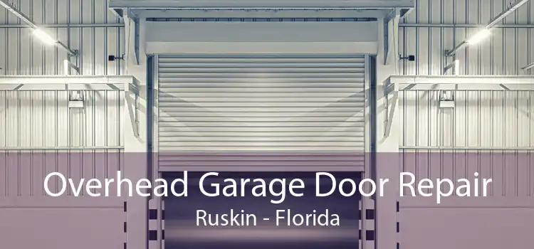 Overhead Garage Door Repair Ruskin - Florida