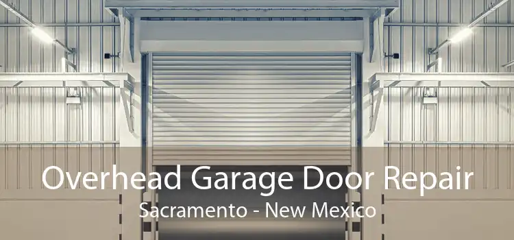 Overhead Garage Door Repair Sacramento - New Mexico