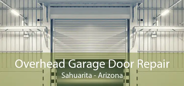 Overhead Garage Door Repair Sahuarita - Arizona