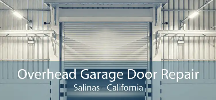 Overhead Garage Door Repair Salinas - California