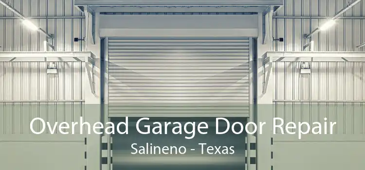 Overhead Garage Door Repair Salineno - Texas