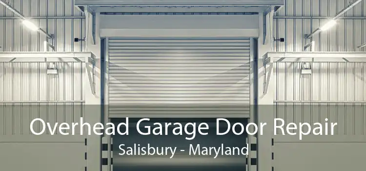 Overhead Garage Door Repair Salisbury - Maryland