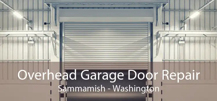 Overhead Garage Door Repair Sammamish - Washington