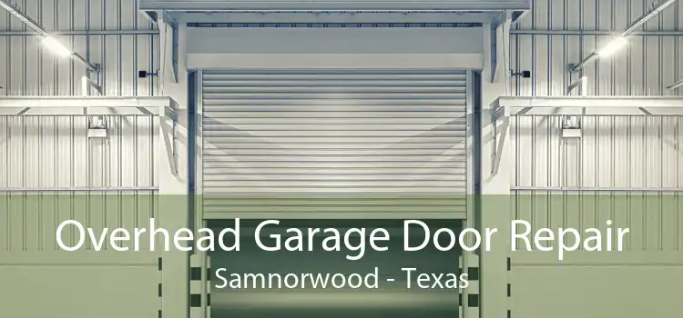 Overhead Garage Door Repair Samnorwood - Texas